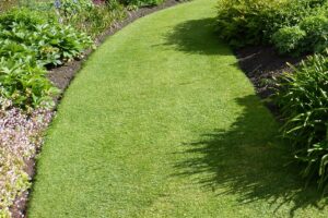 Lawn Turfing
