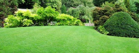Grass & Turf Laying